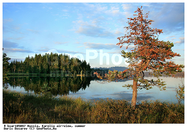 �������, ������, ����������� �������, �����������, ��� ������, ������, ����, ������ � ������, �����, �����