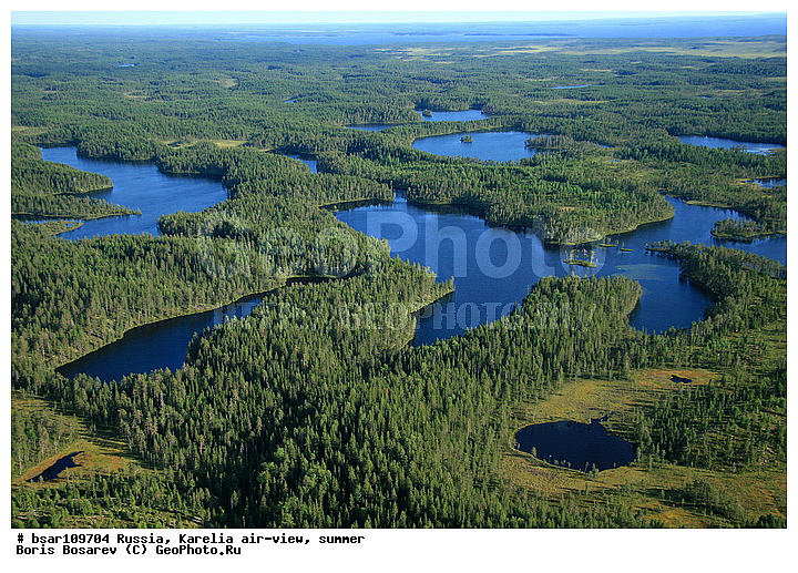 �������, ������, �����������, ��� ������, ������, ����