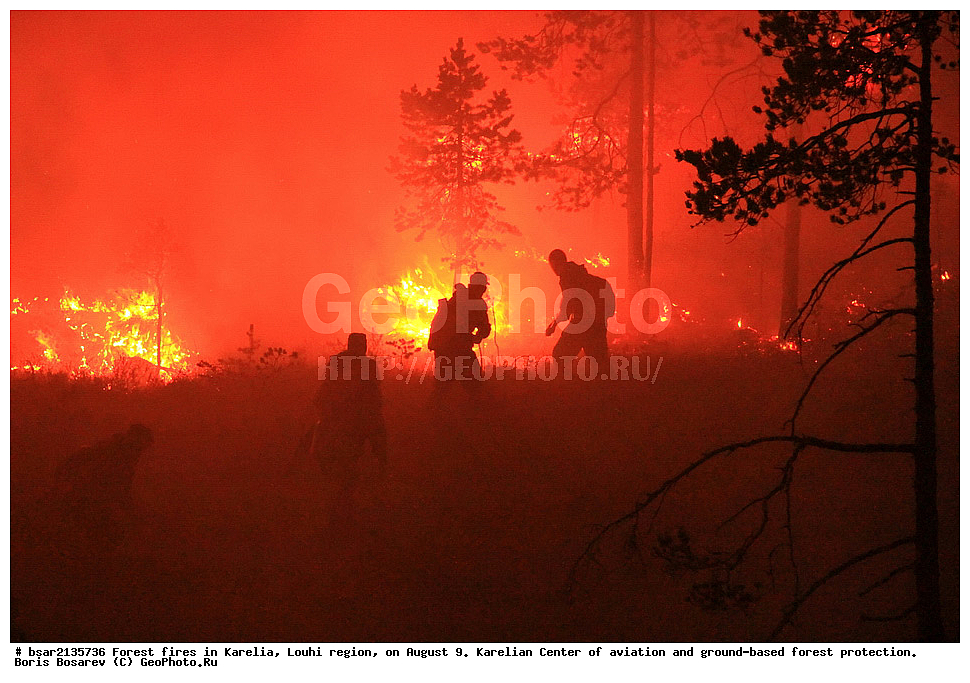 ������ ������, �������, �������� �����, ������, 2013, ���������� ����� ����������� � �������� ������ �����