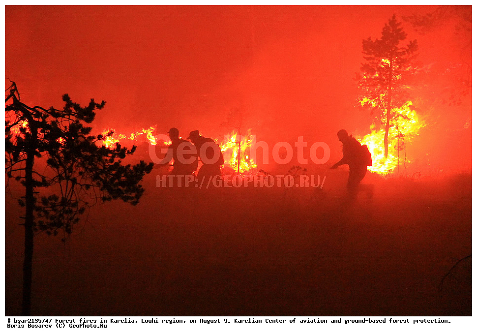 ������ ������, �������, �������� �����, ������, 2013, ���������� ����� ����������� � �������� ������ �����