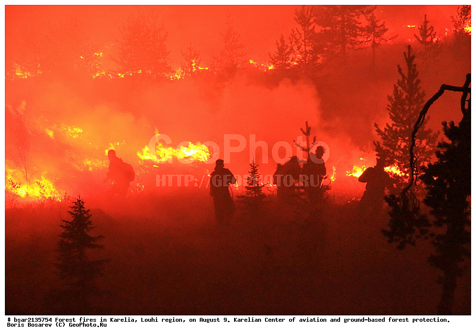 ������ ������, �������, �������� �����, ������, 2013, ���������� ����� ����������� � �������� ������ �����