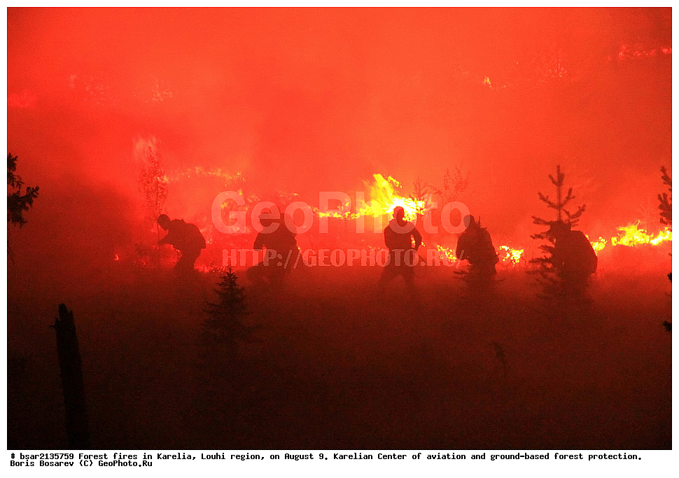 ������ ������, �������, �������� �����, ������, 2013, ���������� ����� ����������� � �������� ������ �����