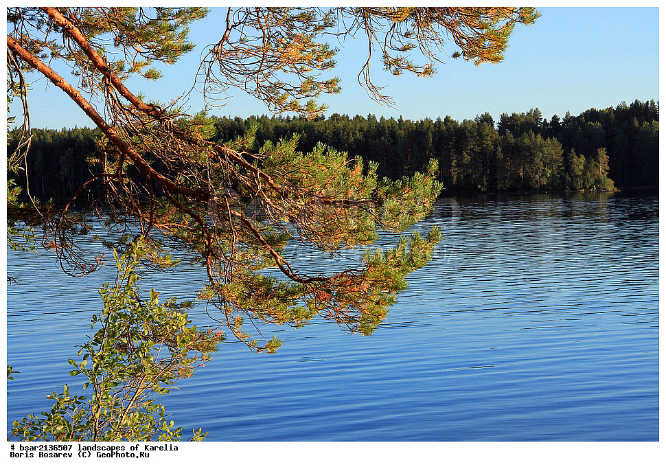  �������, ������, ����, ������, ������, �����, �������, �����, ����, ������� ����, �����, �����