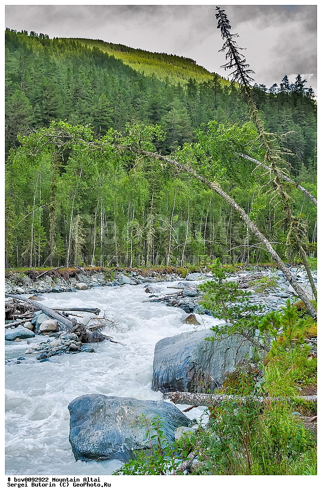 ������ �����, ������