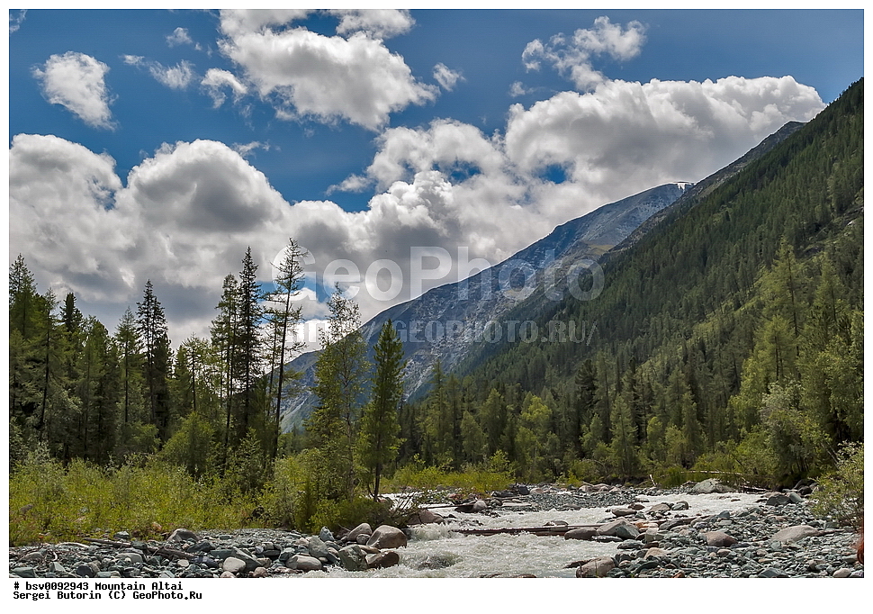 ������ �����, ������