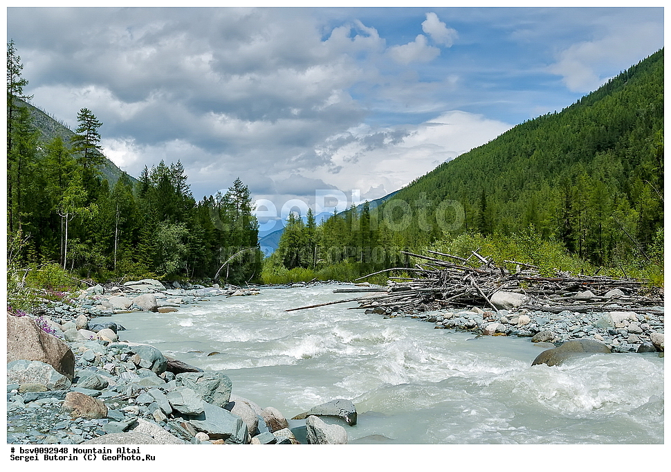 ������ �����, ������