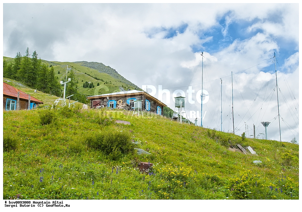 ������ �����, ������