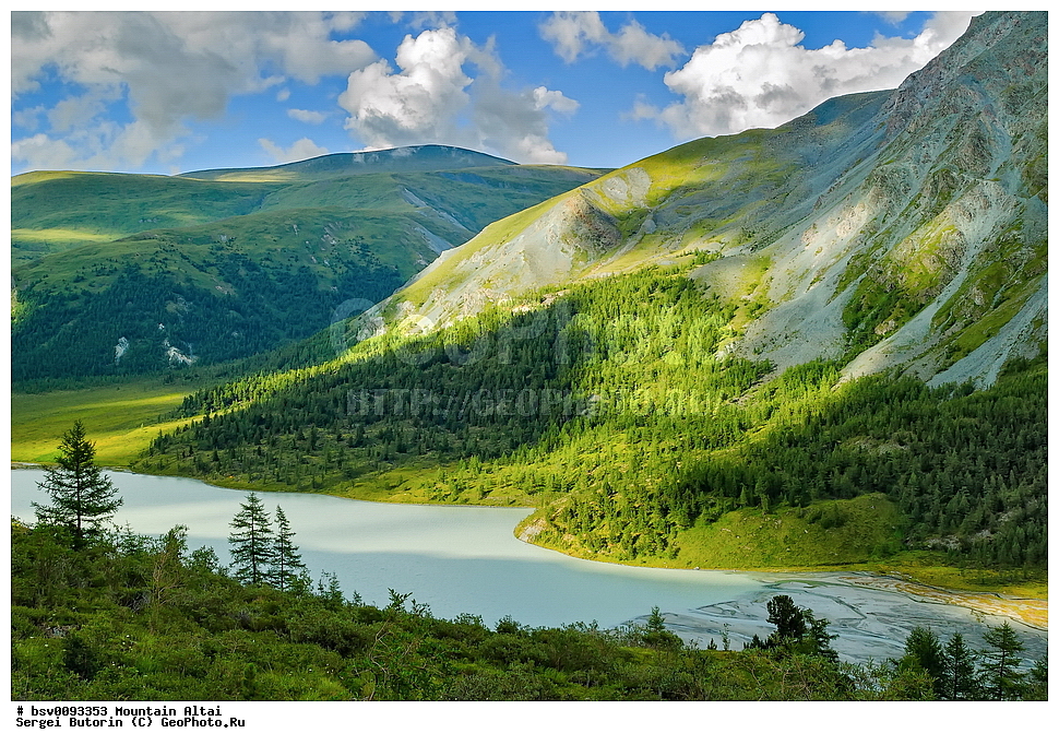 ������ �����, ������