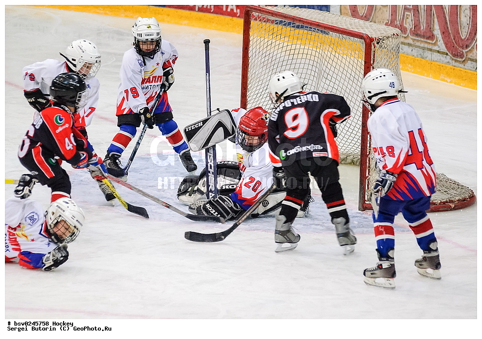 ������, ��������