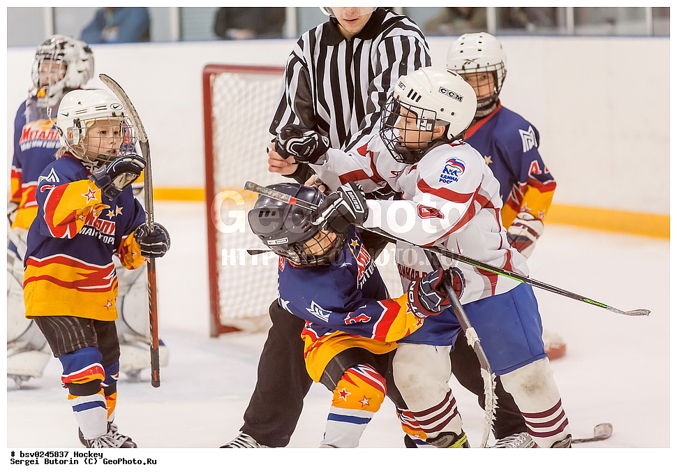 ������, ��������