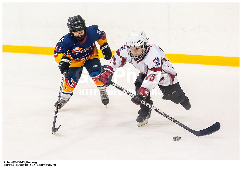 ������, ��������