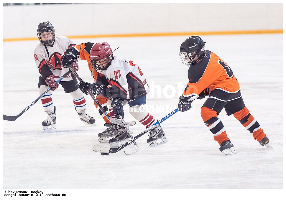 ������, ��������