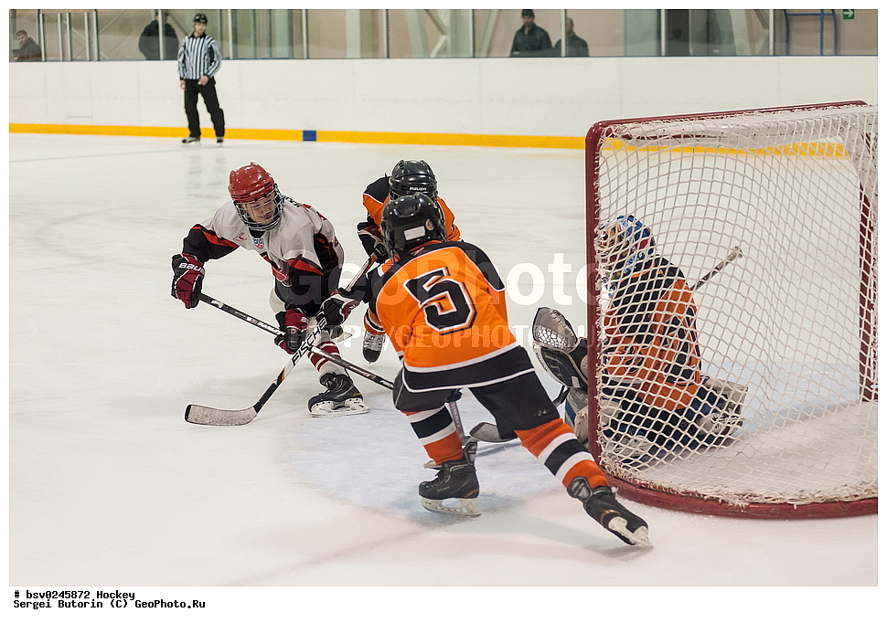 ������, ��������