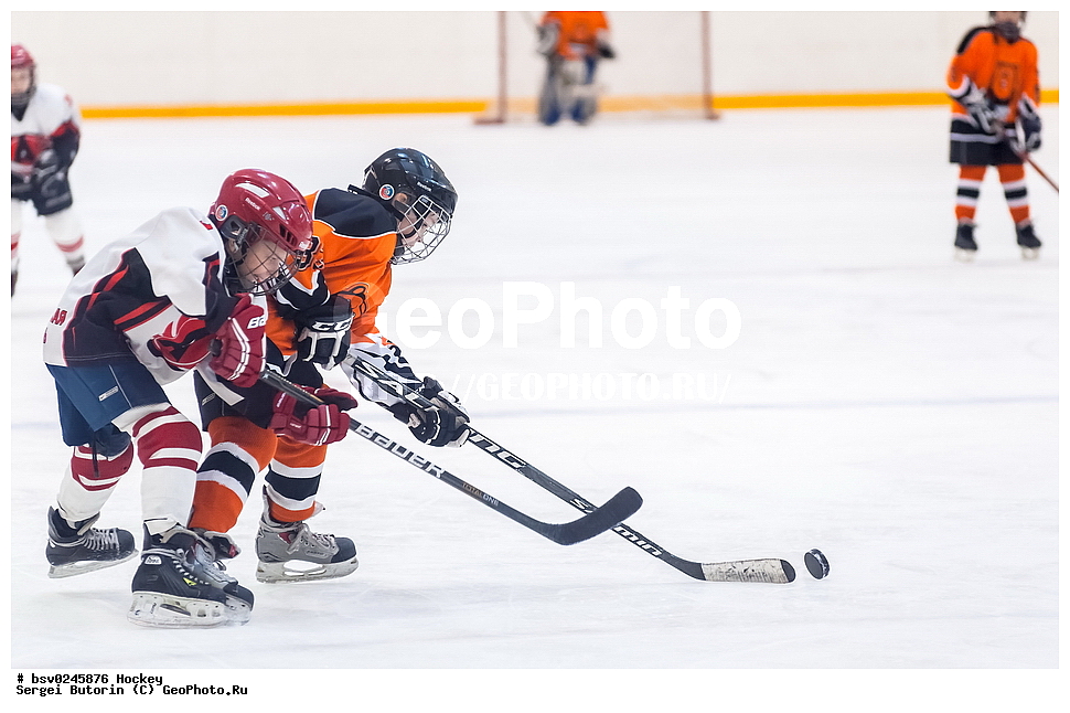 ������, ��������