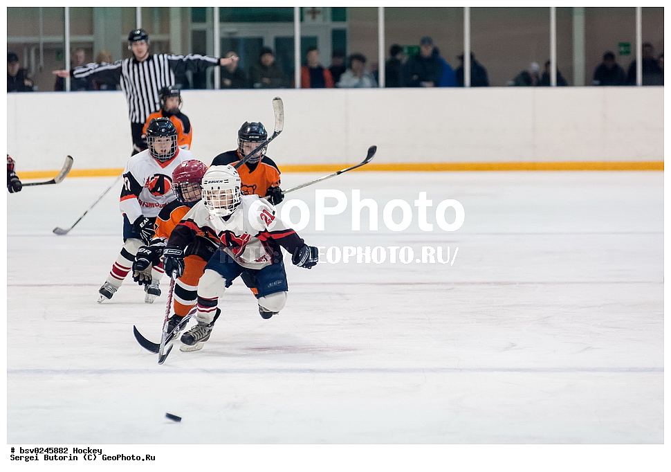 ������, ��������