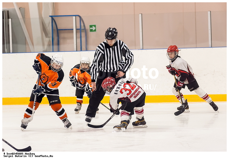 ������, ��������