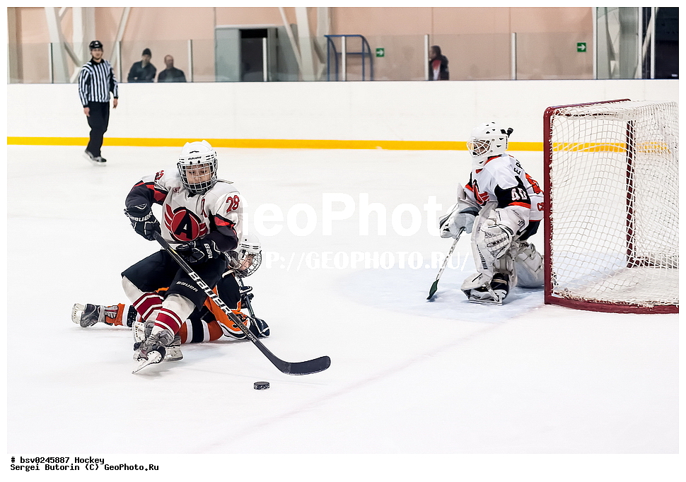 ������, ��������