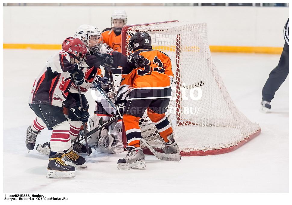 ������, ��������