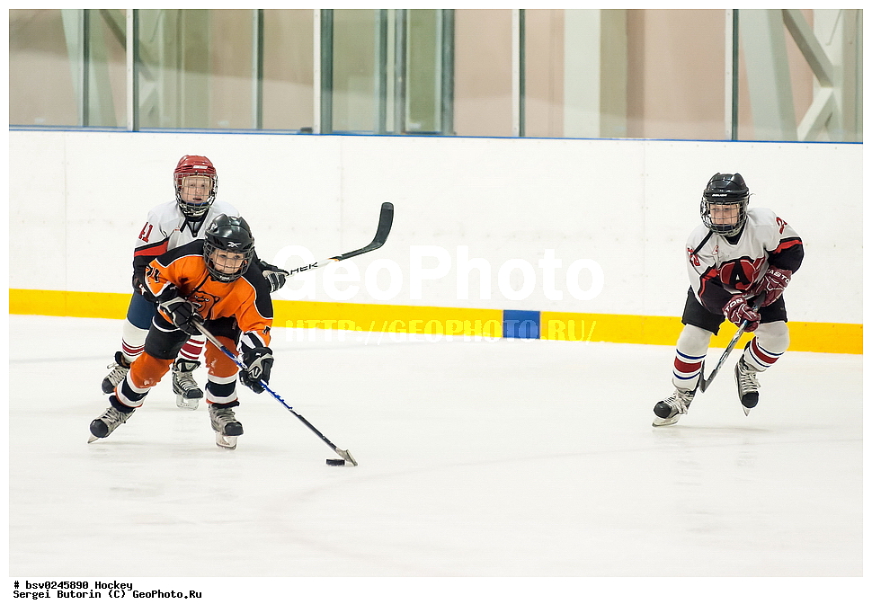 ������, ��������