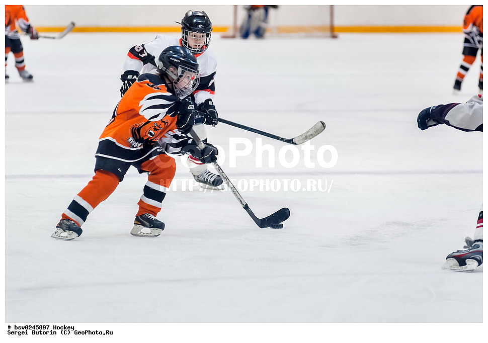 ������, ��������