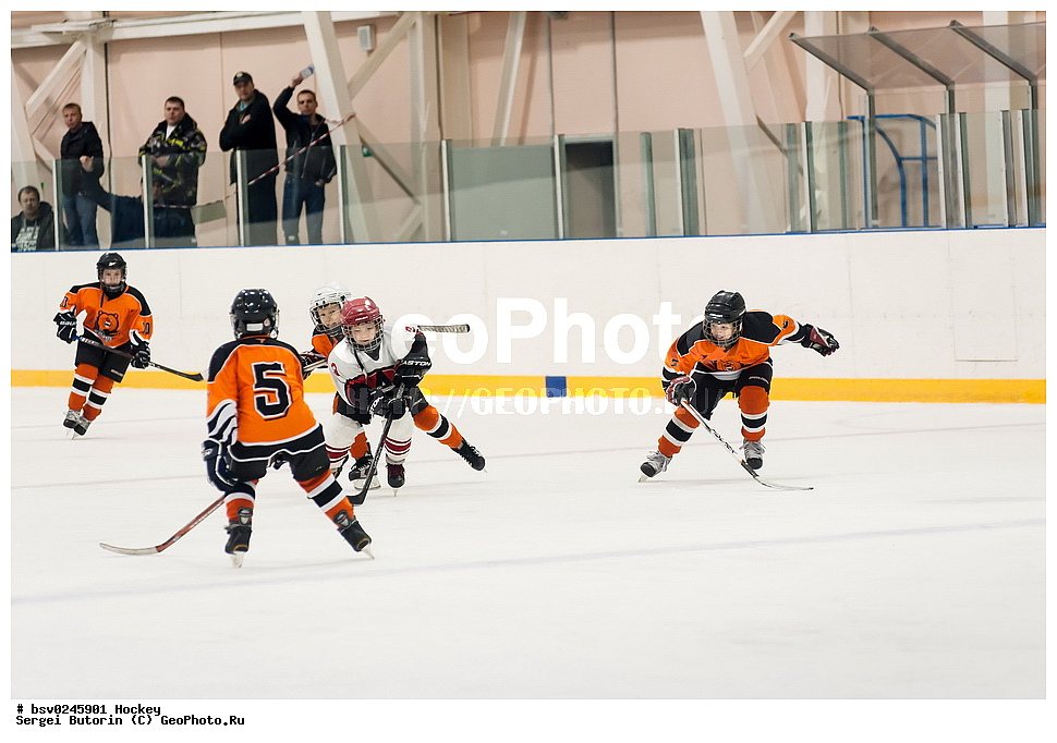 ������, ��������