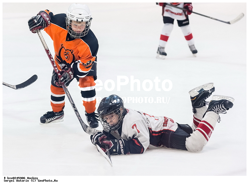 ������, ��������