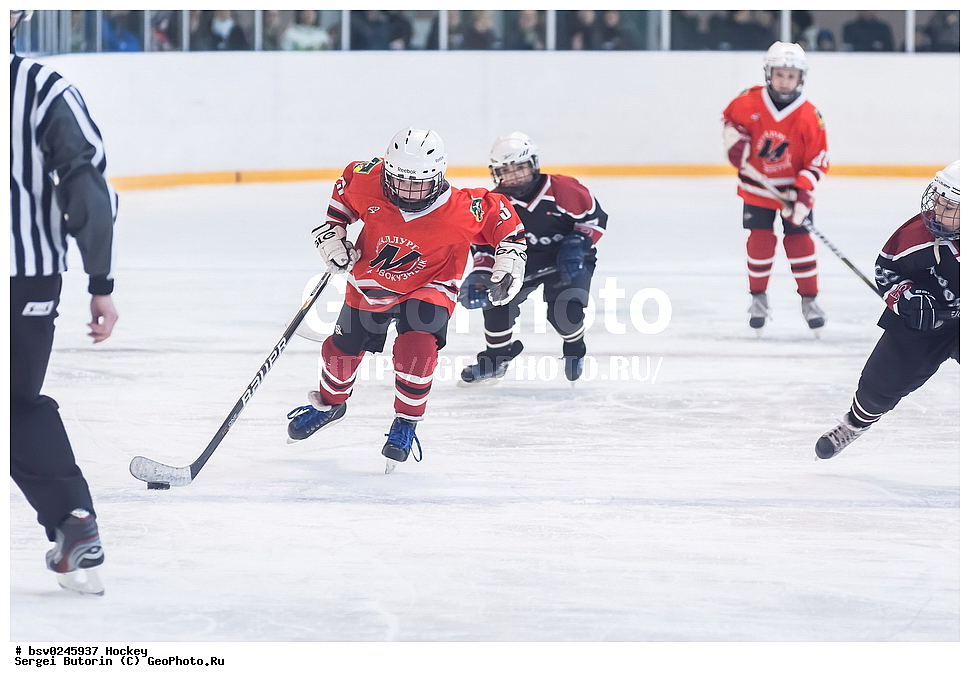 ������, ��������