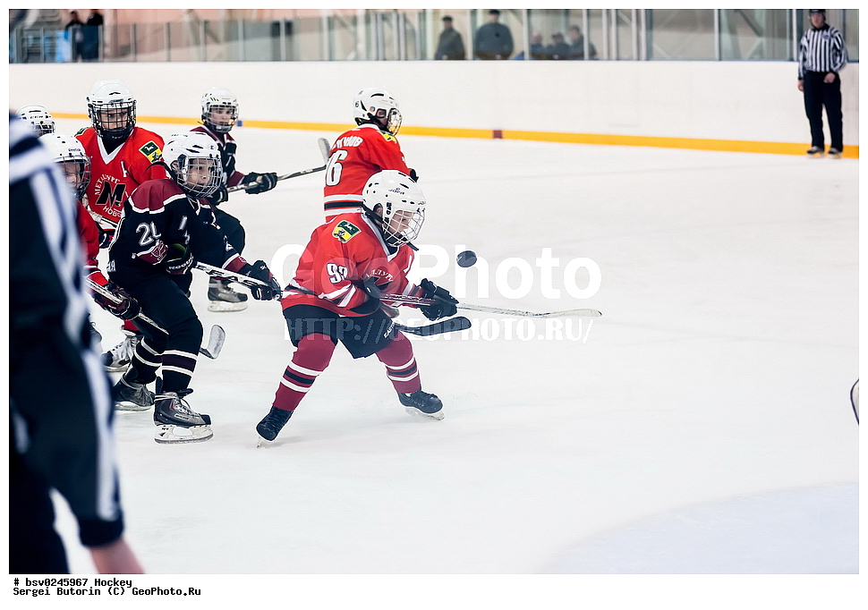 ������, ��������