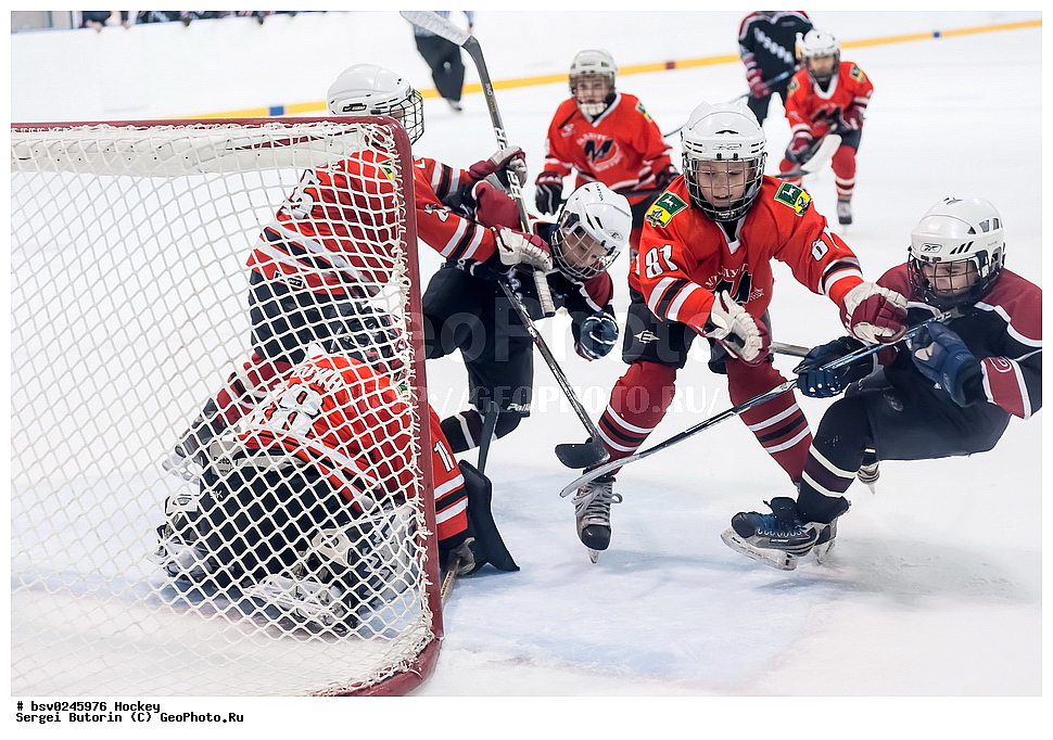 ������, ��������