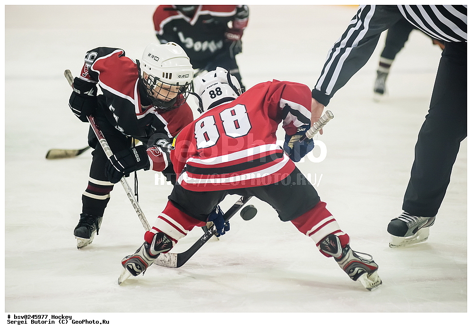 ������, ��������