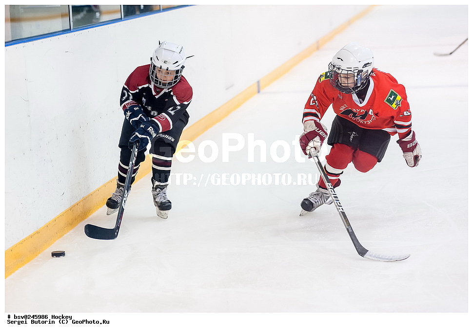 ������, ��������