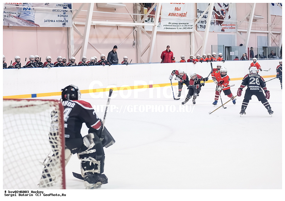 ������, ��������