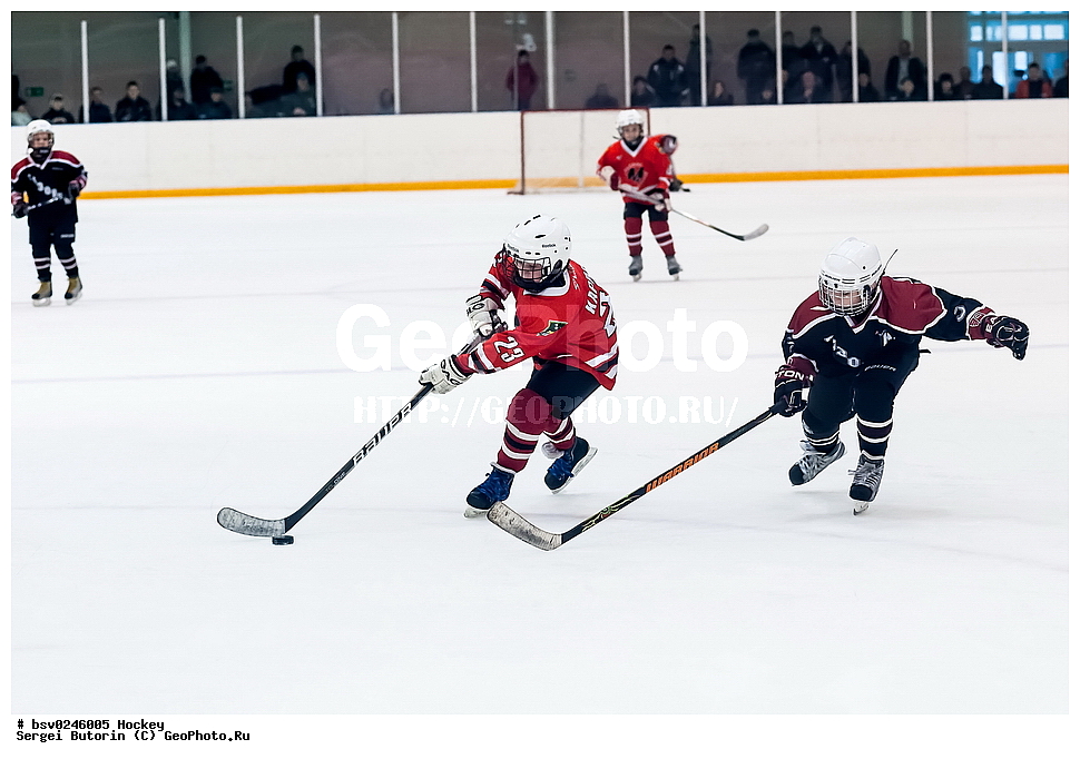 ������, ��������