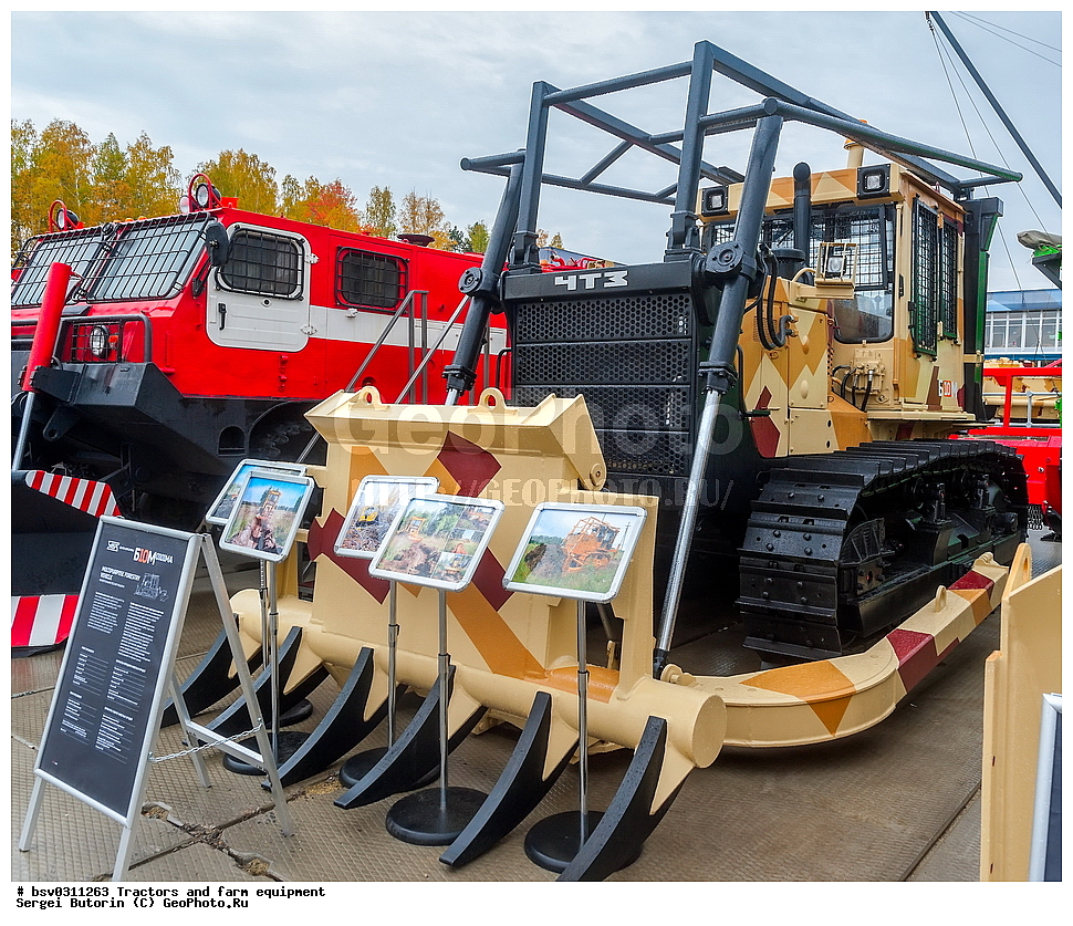 �������, ��������������