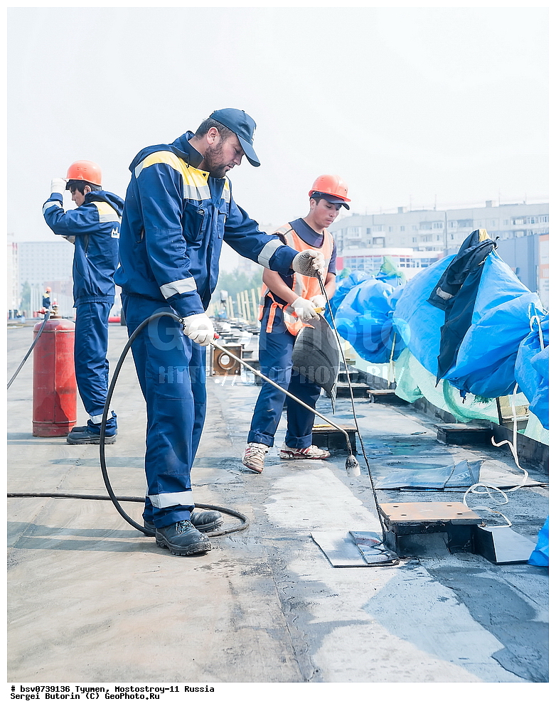 ������, ������,  ����������-11, �������, ���������