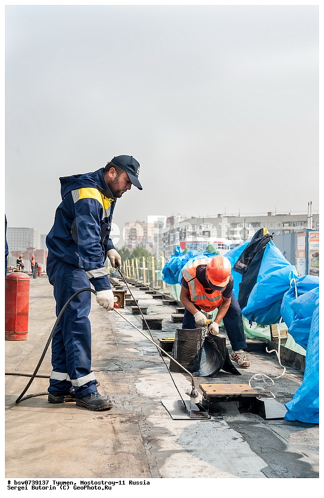 ������, ������,  ����������-11, �������, ���������