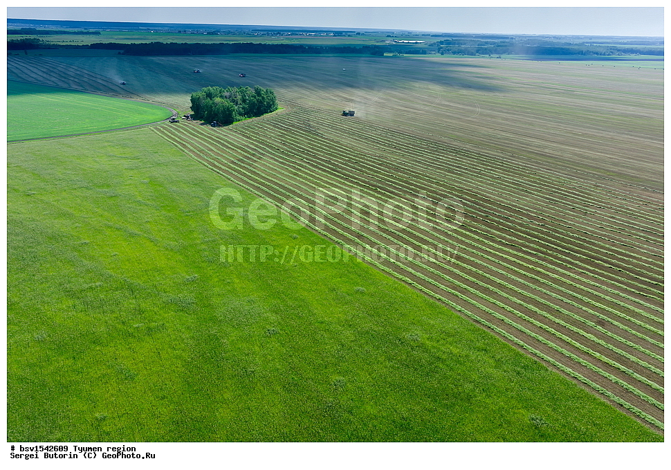 ��������� �������