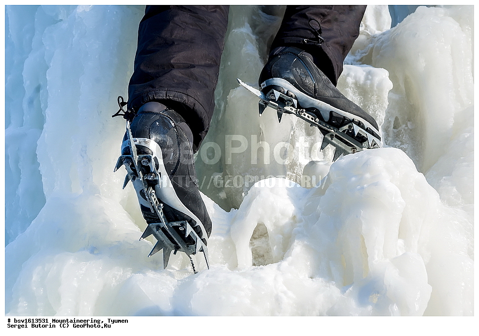 ���������, ������, ���������