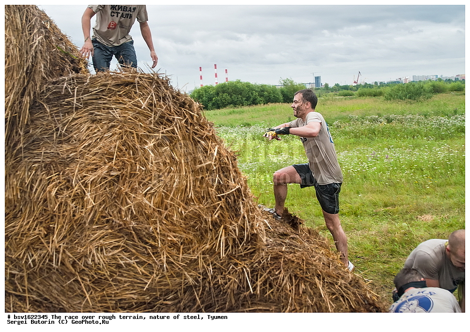 �����, ������������ ���������, �������� ��������, ������