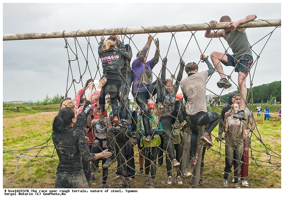 �����, ������������ ���������, �������� ��������, ������