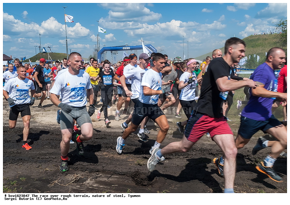 �����, ������������ ���������, �������� ��������, ������