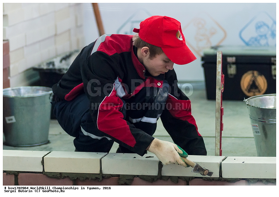 2016 ���, ������, ������, ���������, ������������, ���������