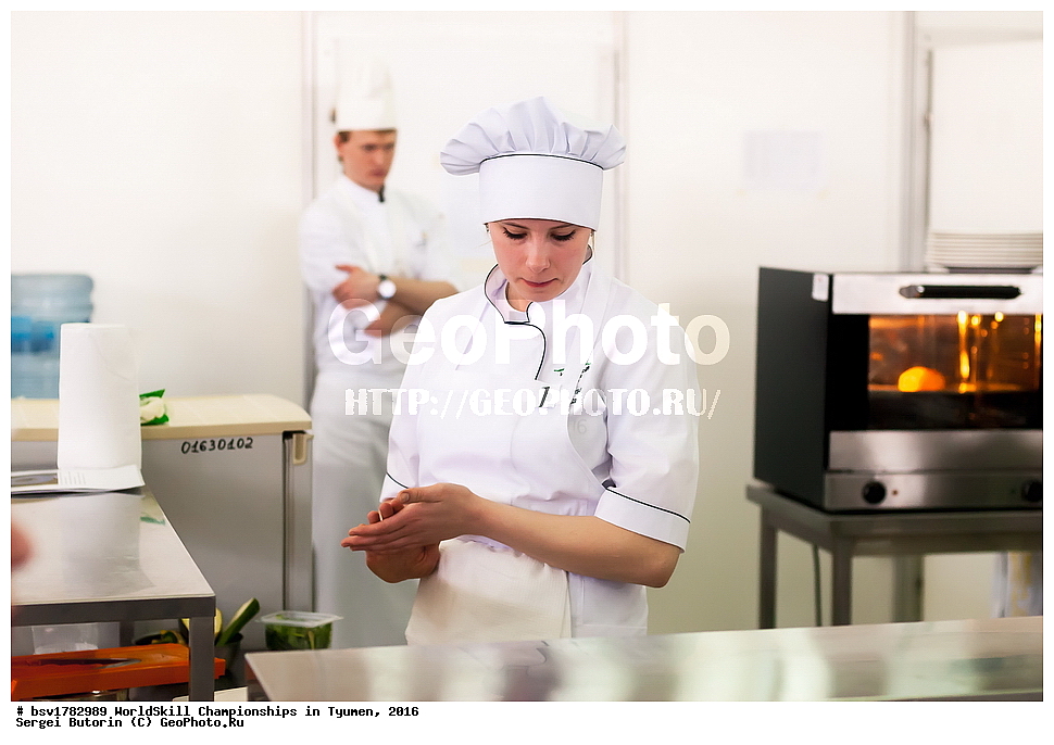 2016 ���, ������, ������, ���������, ������������, ���������