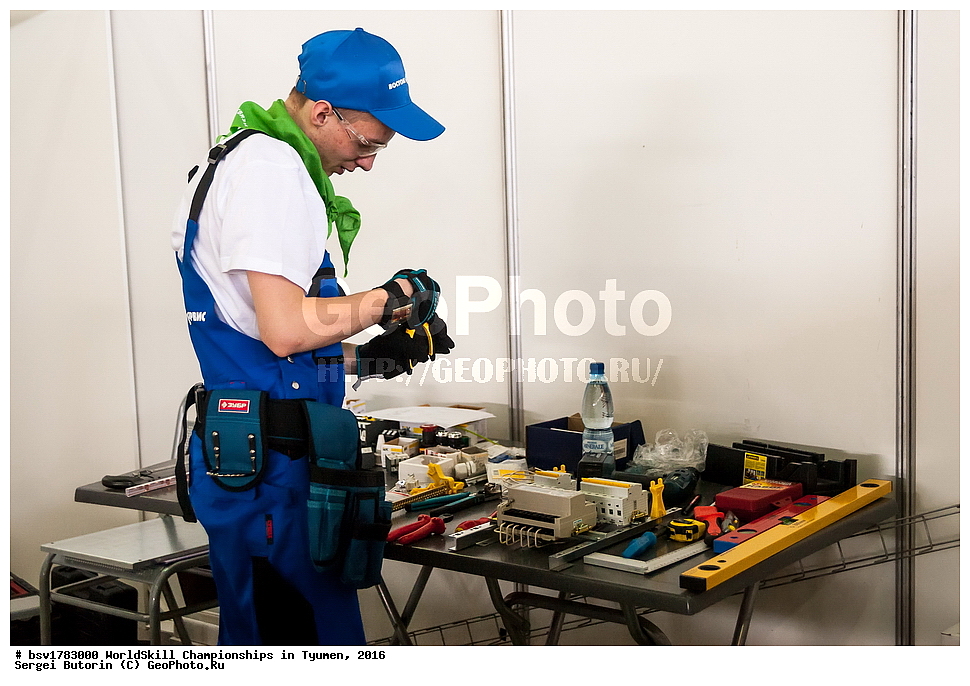 2016 ���, ������, ������, ���������, ������������, ���������