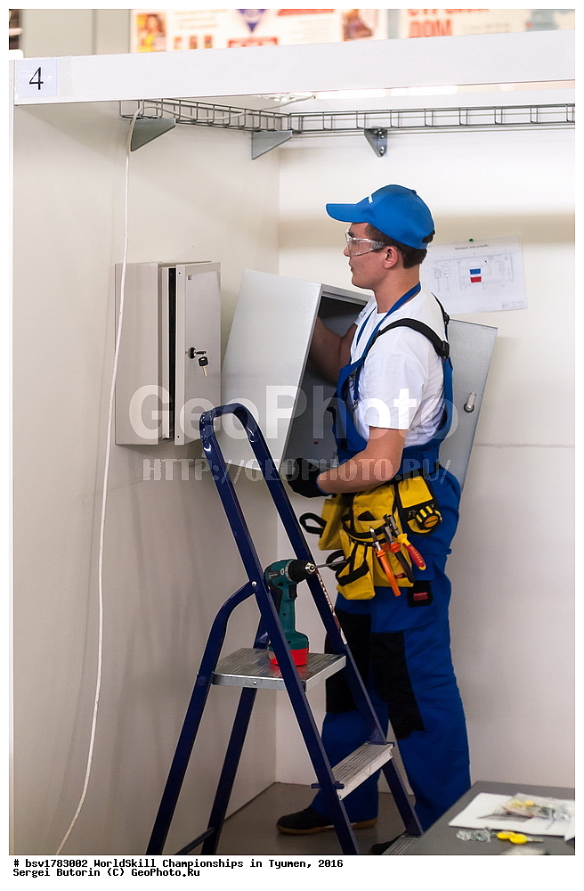 2016 ���, ������, ������, ���������, ������������, ���������