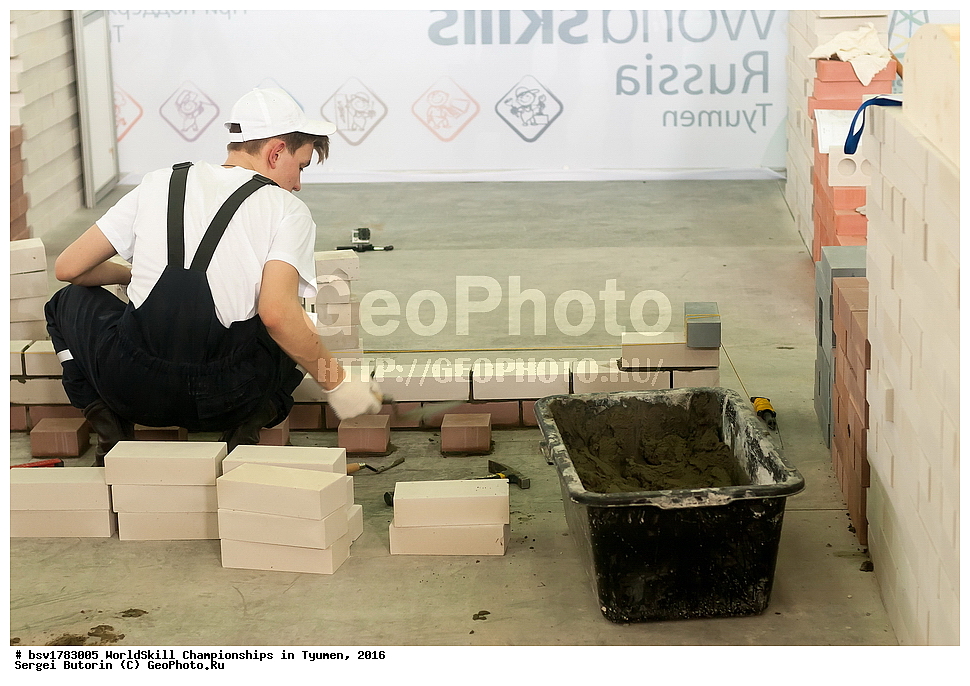 2016 ���, ������, ������, ���������, ������������, ���������