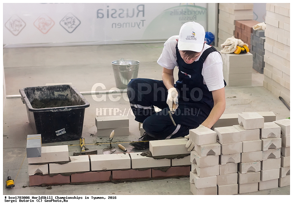 2016 ���, ������, ������, ���������, ������������, ���������