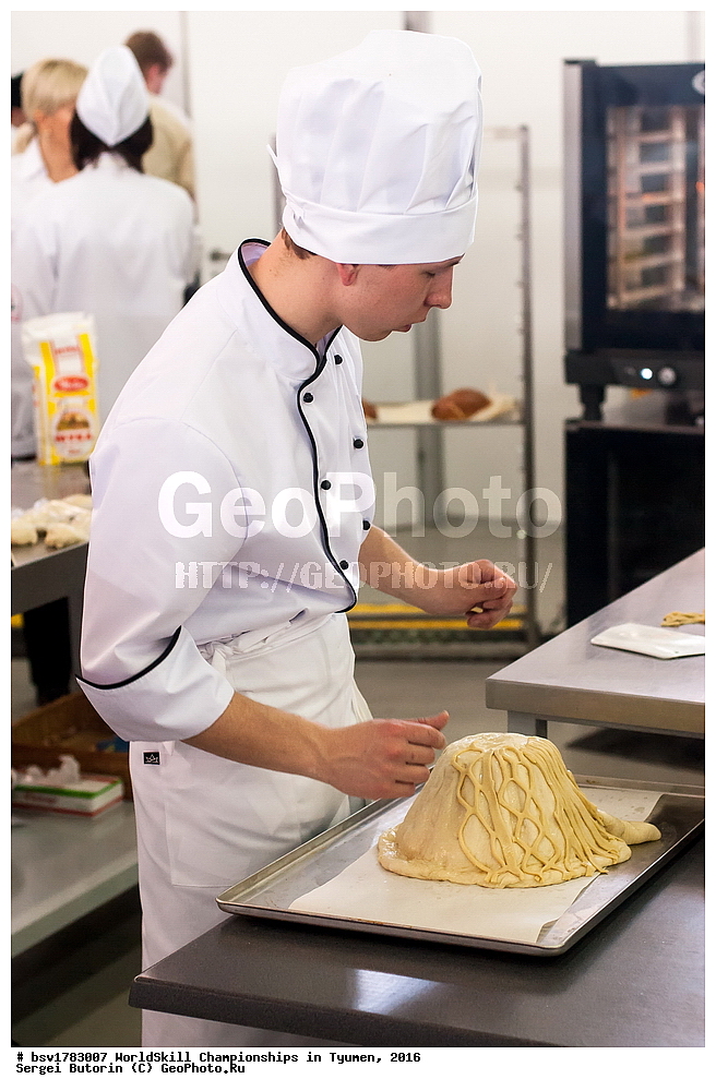 2016 ���, ������, ������, ���������, ������������, ���������