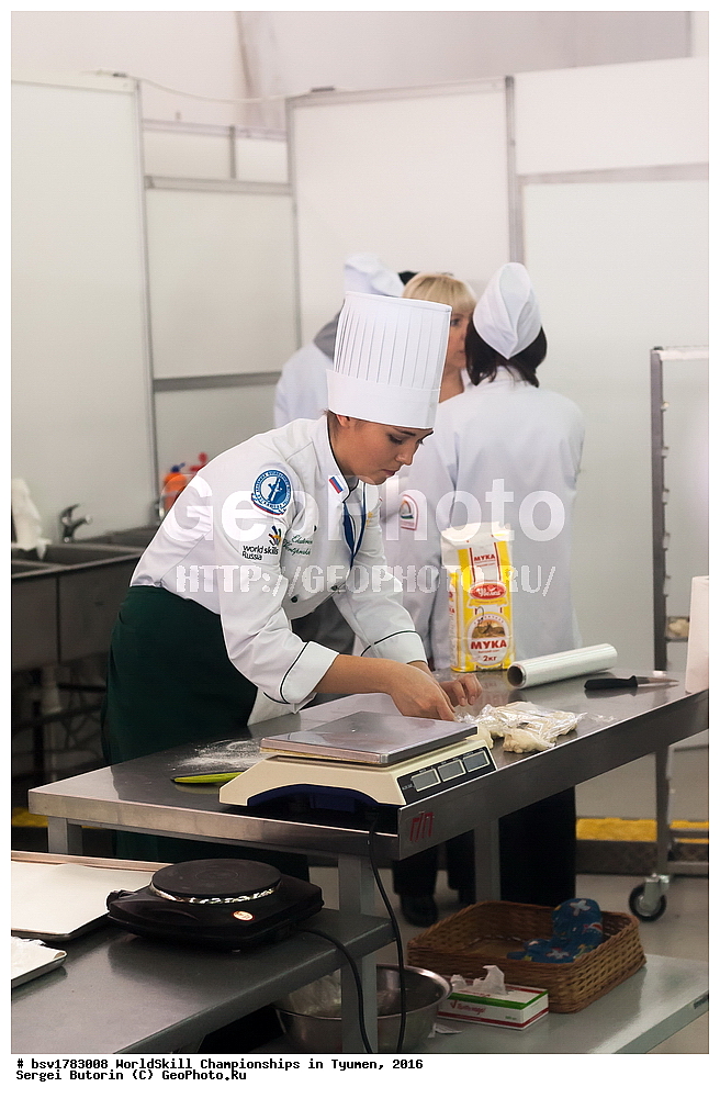 2016 ���, ������, ������, ���������, ������������, ���������