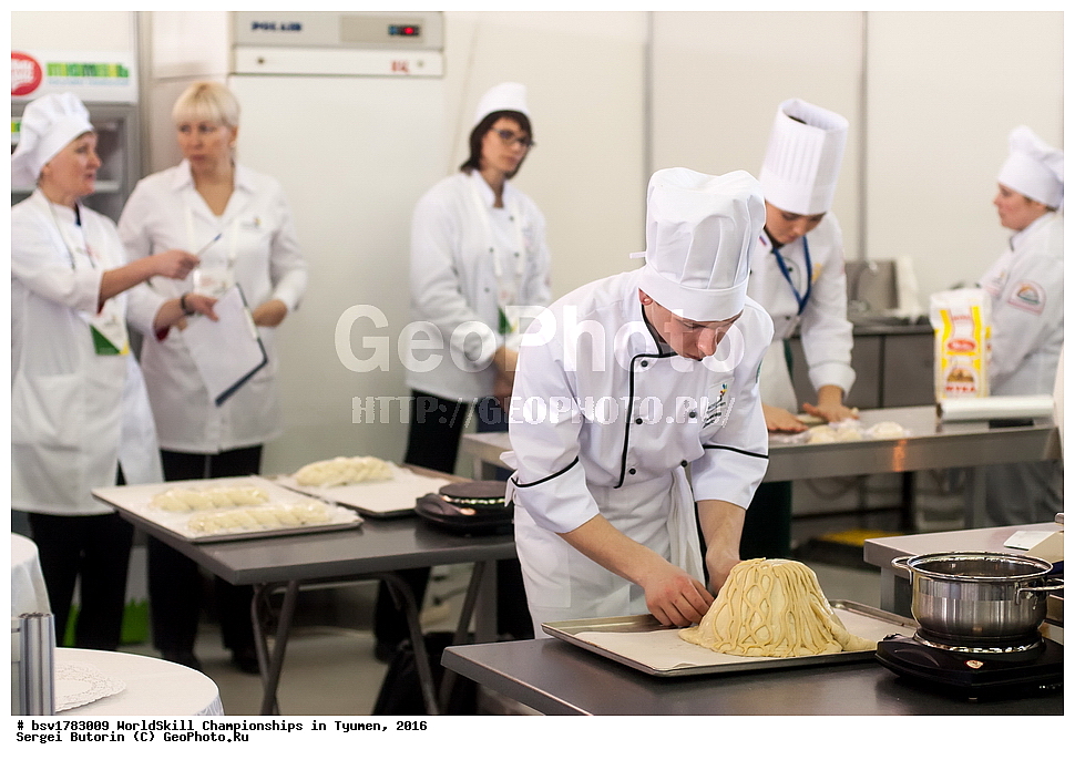 2016 ���, ������, ������, ���������, ������������, ���������